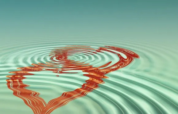 Casigo Casino Ënnerstëtzung